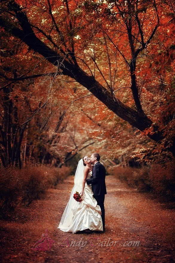 Fall Wedding Pictures 62
